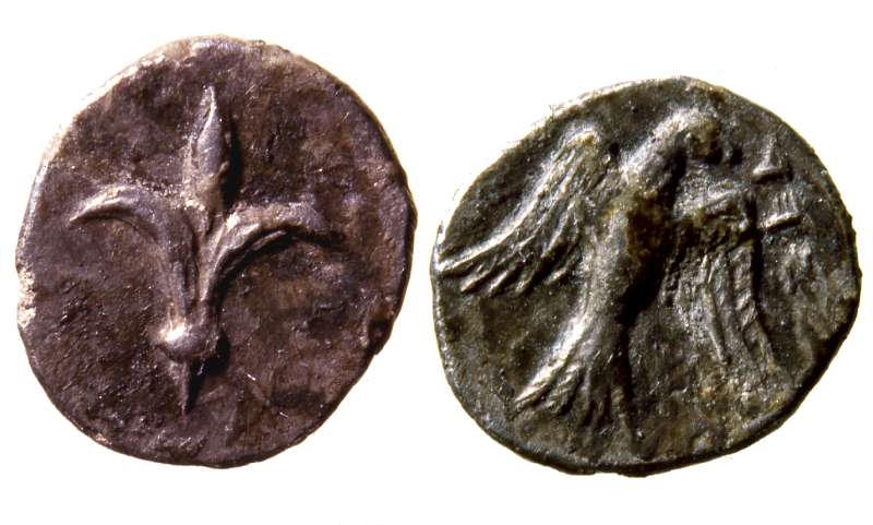 Coin of Yehud with a lily